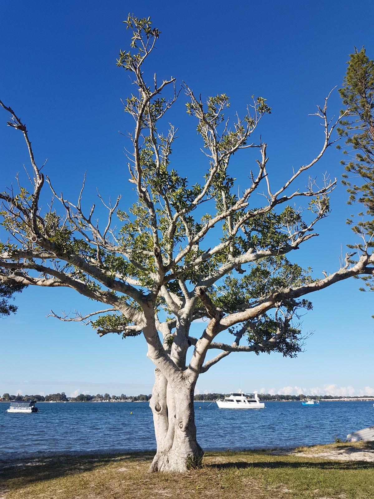 Sandee Kalmakuta Drive Park