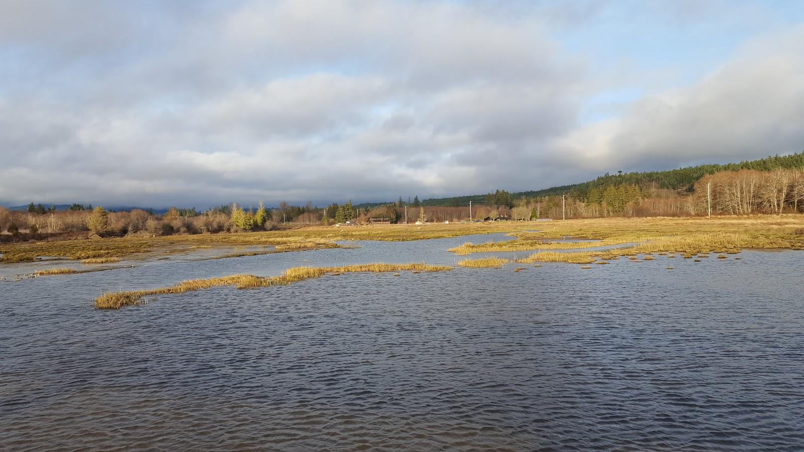 Sandee - The Salmon Center