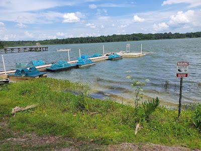 Sandee - Lake Wauburg North Shore Beach