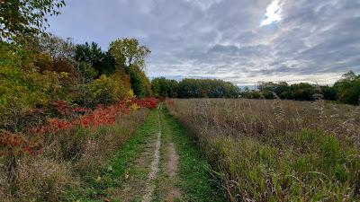 Sandee - Pelizzari Natural Area