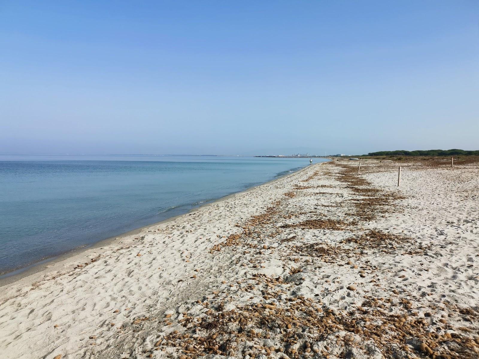 Sandee - Spiaggia Di Arborea - Zona 31