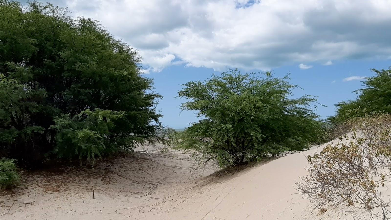 Sandee Praia Das Areias Alvas