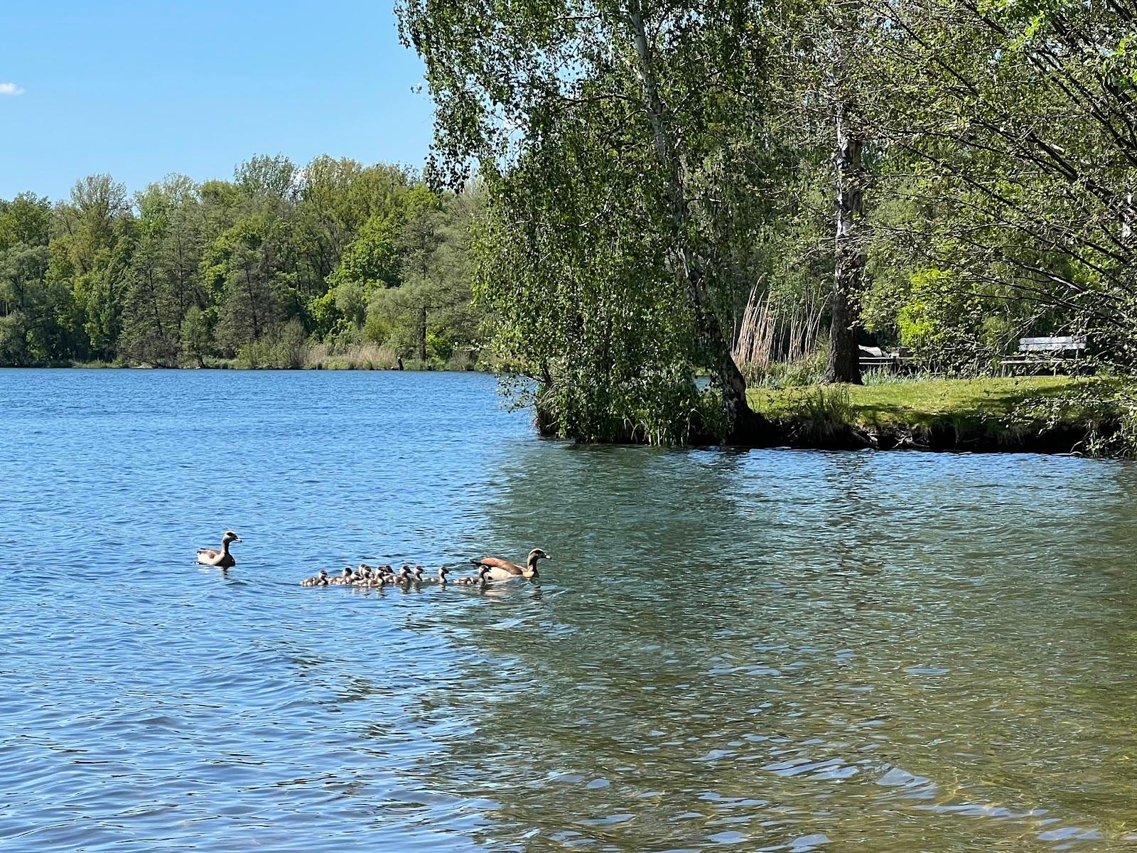 Sandee Naturisticka Nuda Plaza Jezero Podebrady Photo