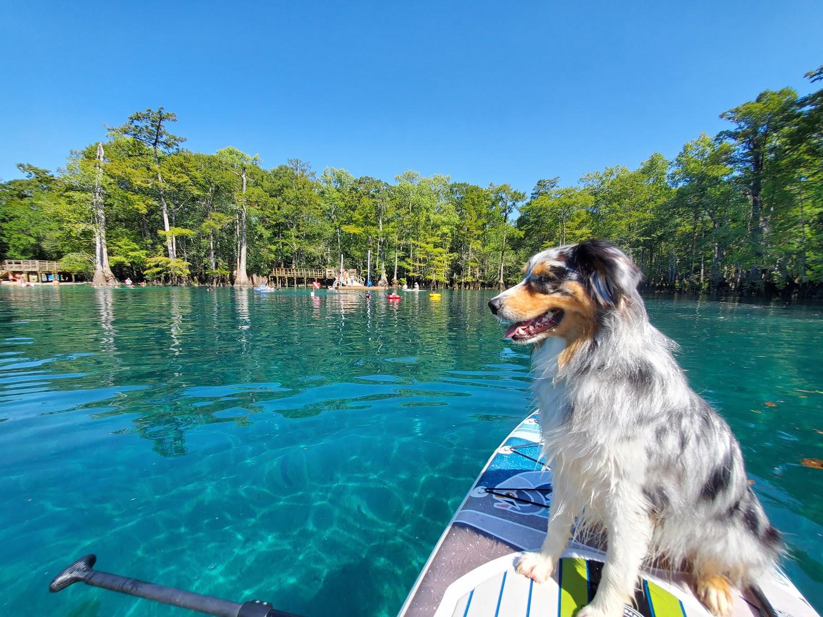 Sandee Morrison Springs County Park Photo