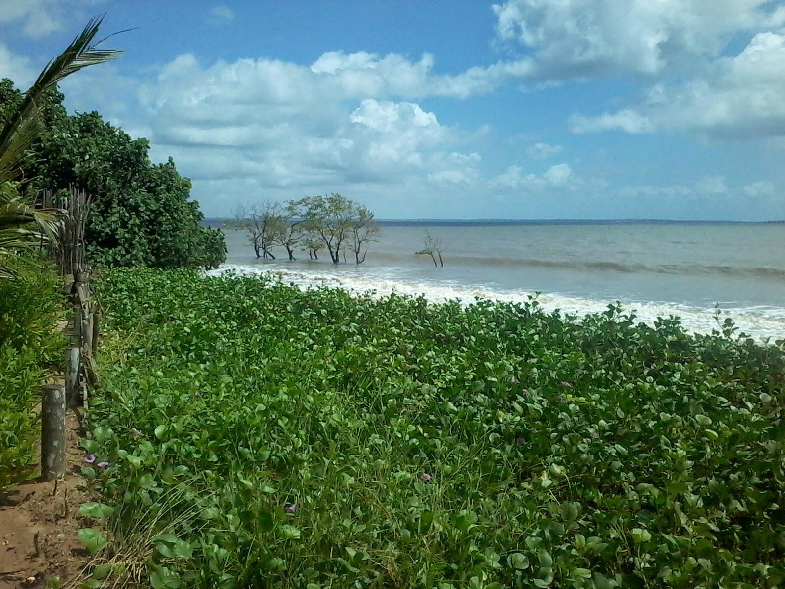 Sandee Praia Santa Maria De Guaxenduba