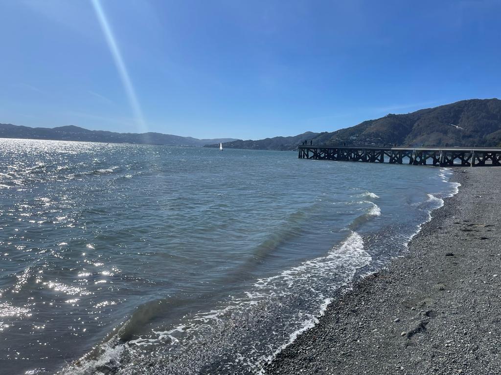 Sandee Rona Bay Beach