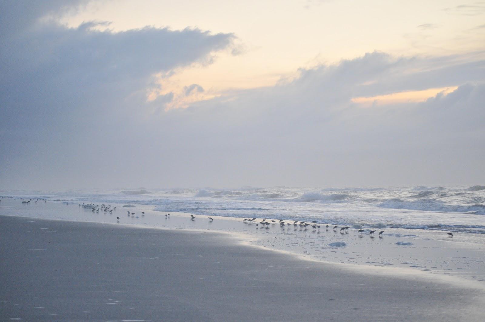 Sandee 16th Street Beach Photo