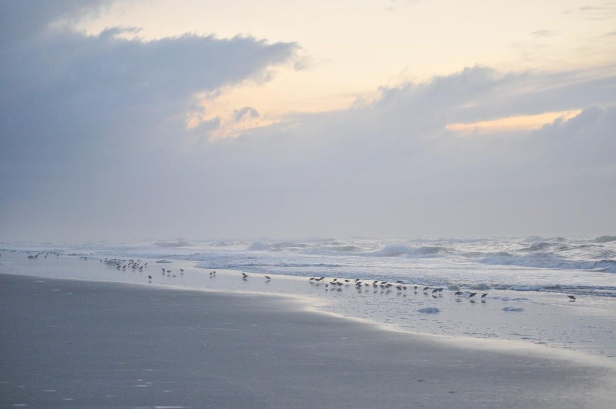 Sandee 16th Street Beach Photo