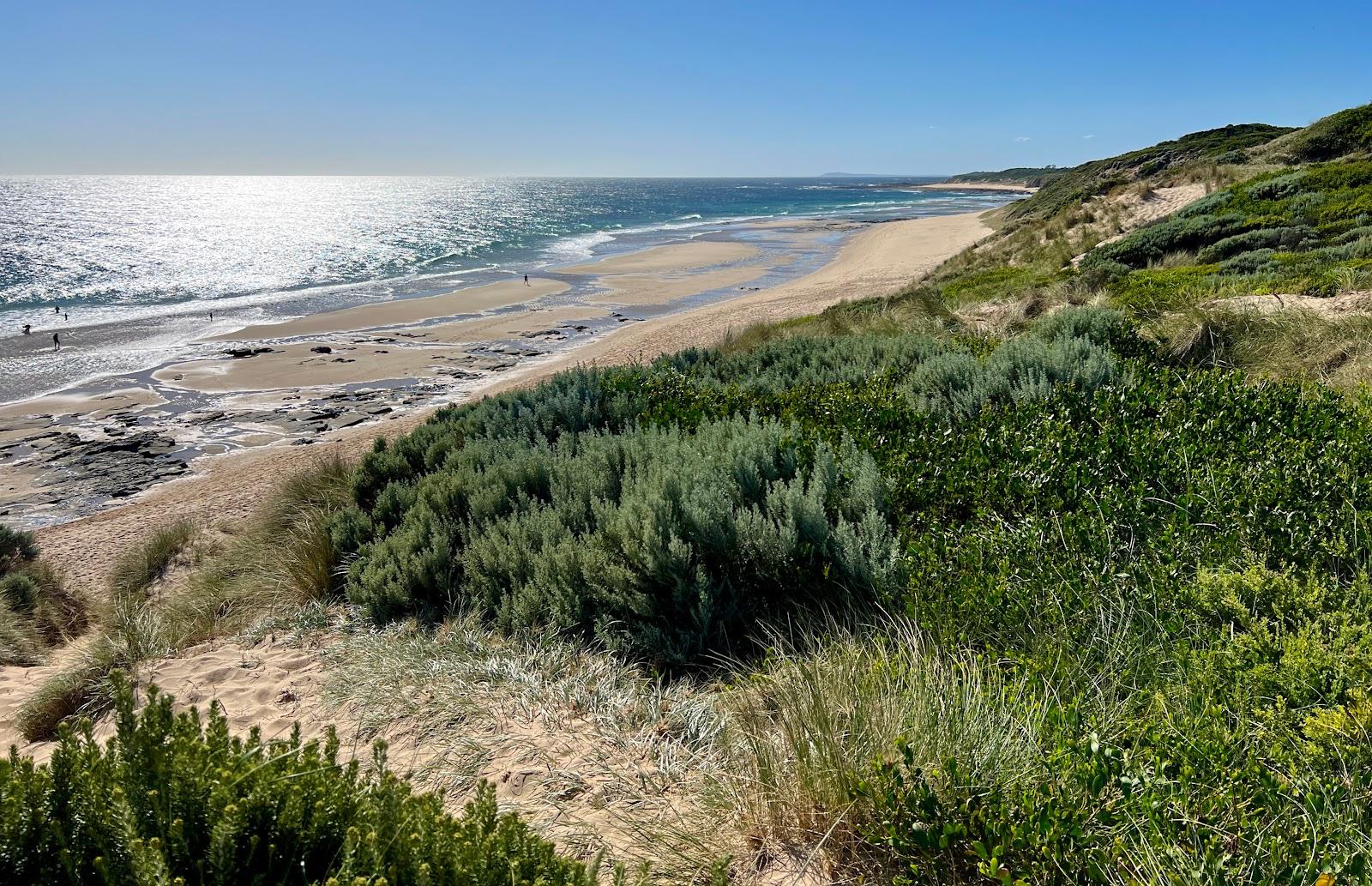 Sandee Cape Paterson Coastal Reserve Photo