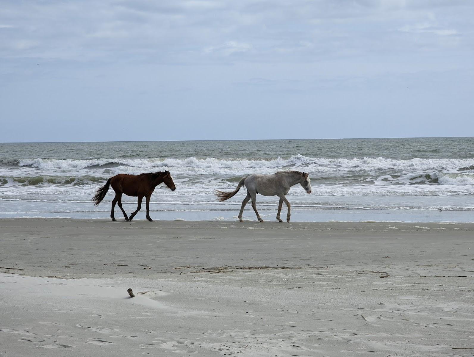 Sandee - Assateague Beach