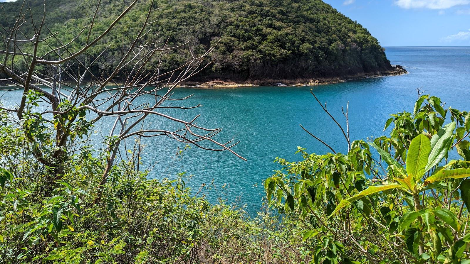 Sandee Kim & Kisi's Beach