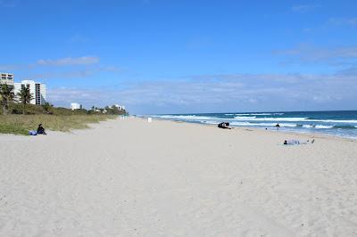 Sandee - Bark Park Dog Beach