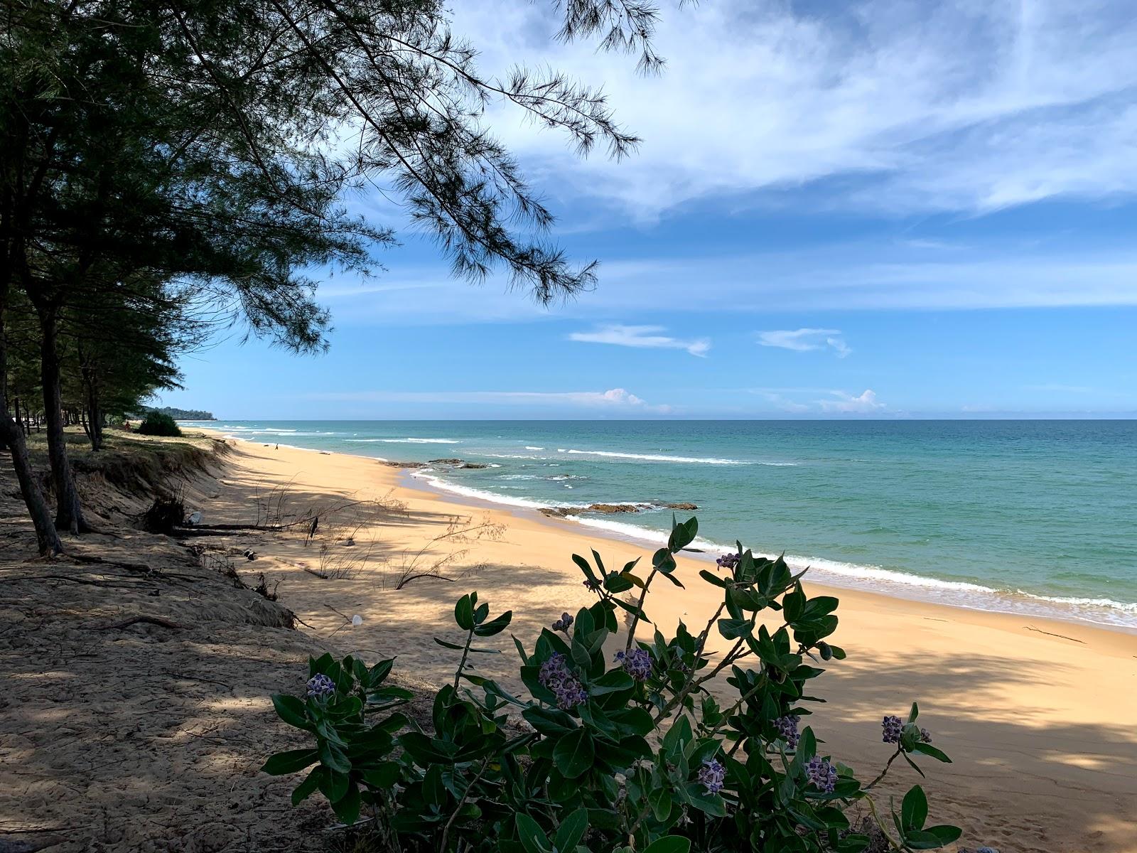 Sandee Tanjung Jara Beach Photo