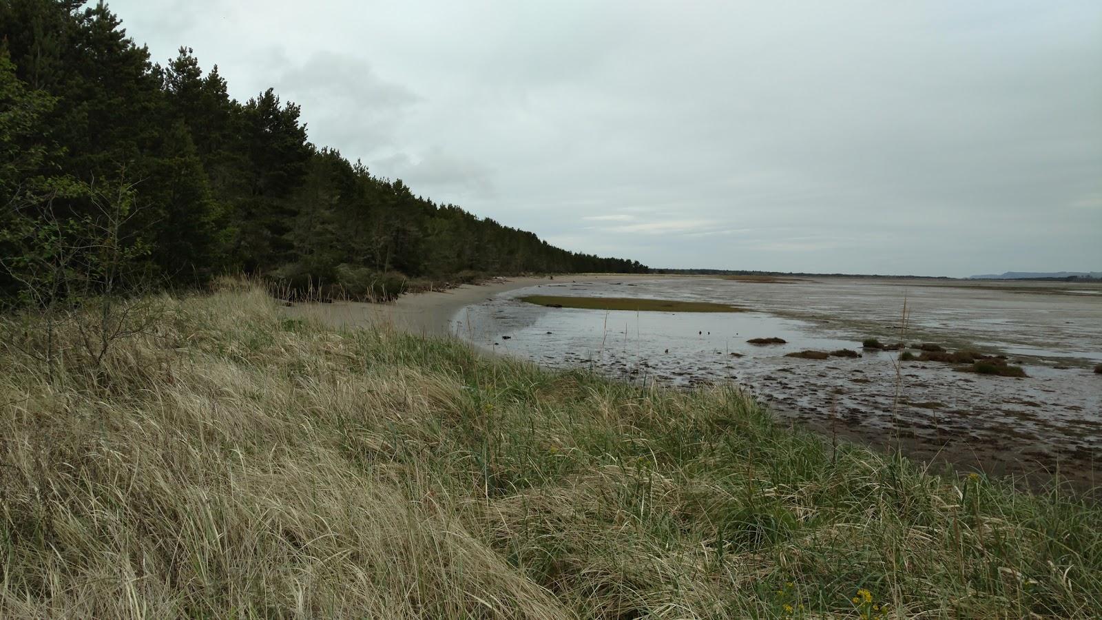 Sandee Leadbetter Point State Park Beach Photo