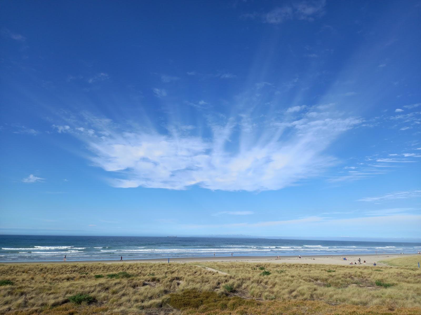 Sandee - Te Ngaio Reserve