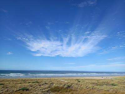 Sandee - Te Ngaio Reserve