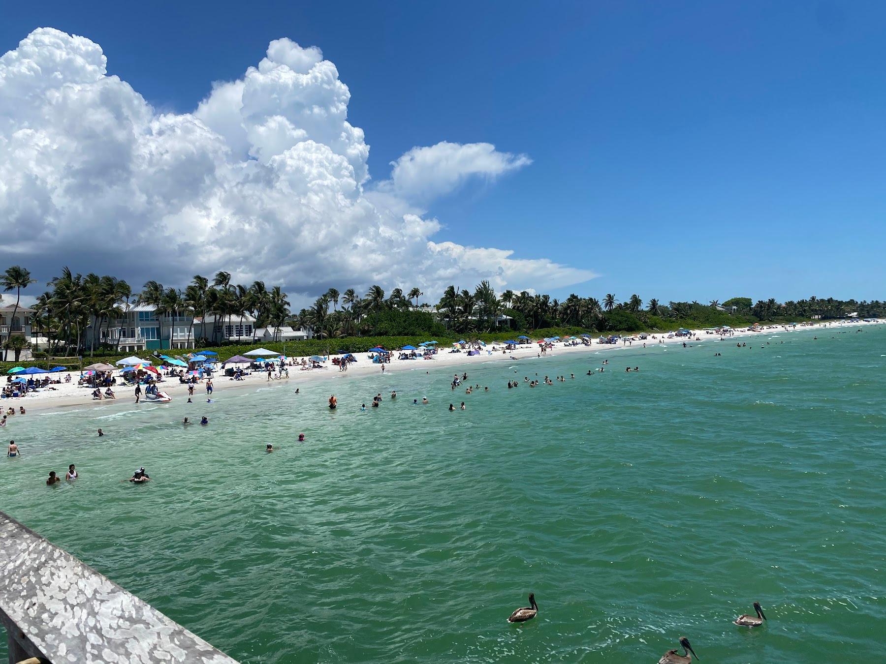 Sandee Naples Pier Photo