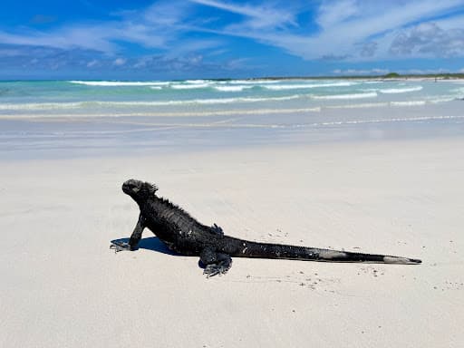 Sandee Boot Beach Photo