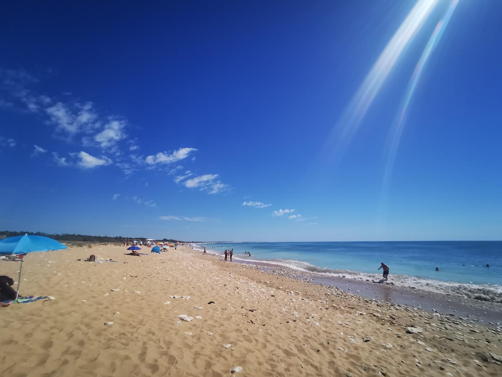 Sandee Plage De Vert Bois Photo