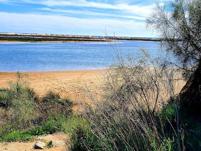 Sandee - Praia Da Caiana