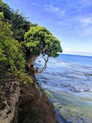 Sandee - Kokee Beach Park