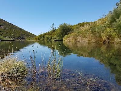 Sandee - Praia Fluvial De Mafomedes - Baiao