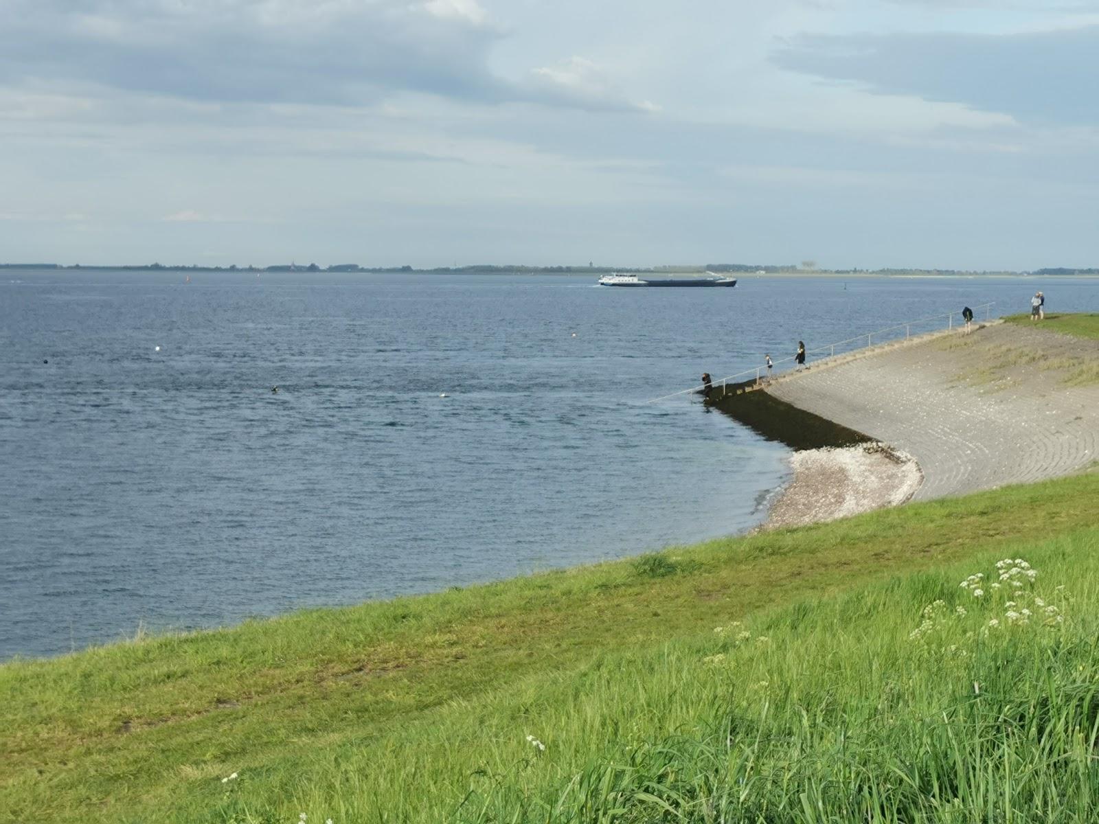 Sandee Duikplaats Galjoen Zonder Poen Photo