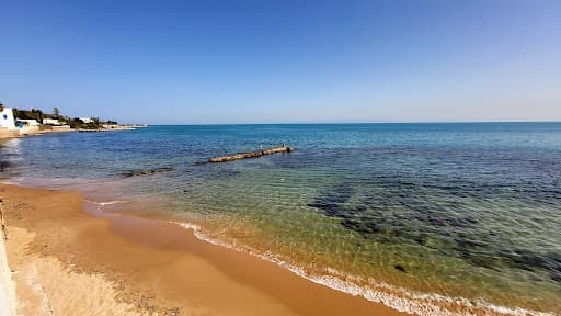 Sandee Plage Carthage Neptune Photo