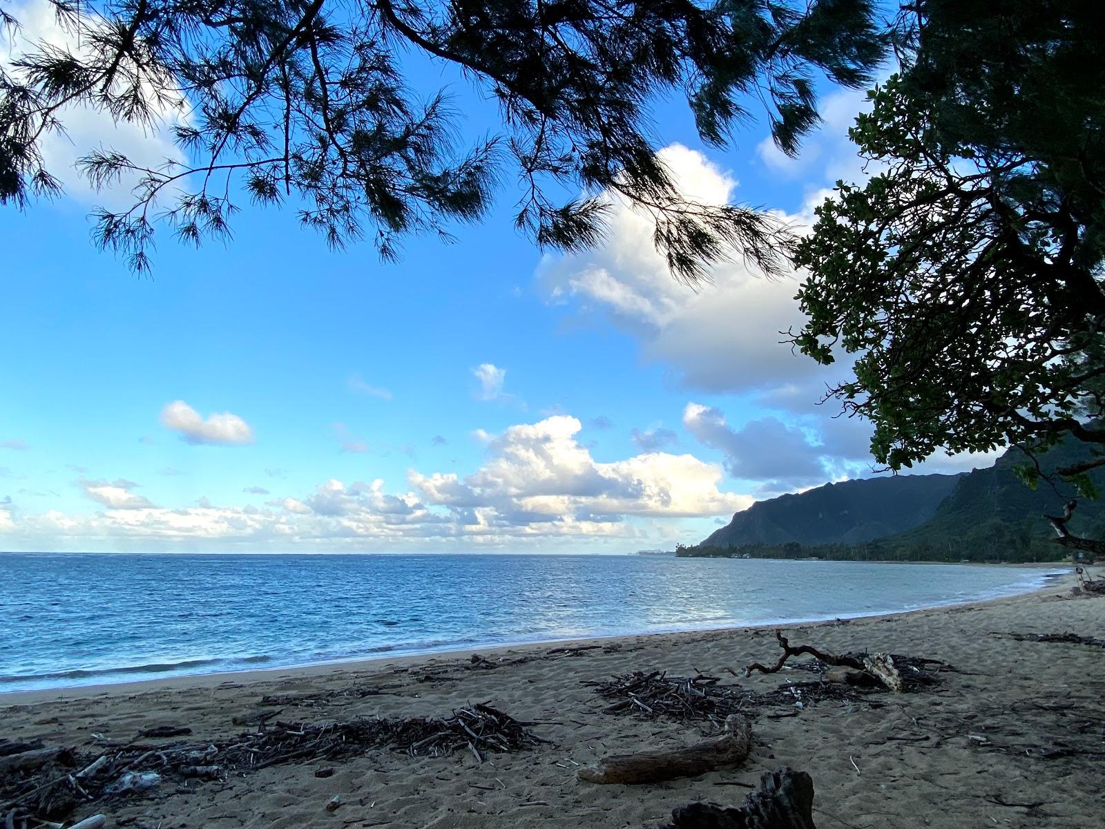 Sandee - Punaluu Beach Park