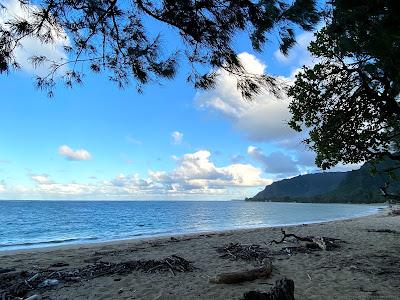 Sandee - Punaluu Beach Park