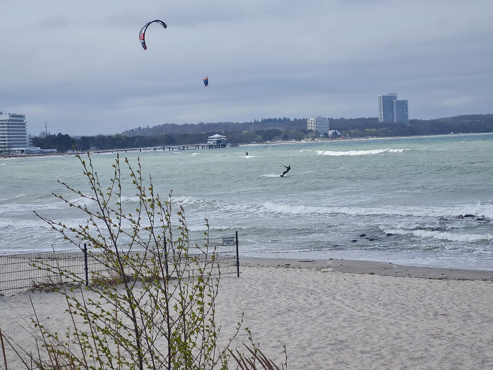 Sandee Niendorfer Hundestrand Photo