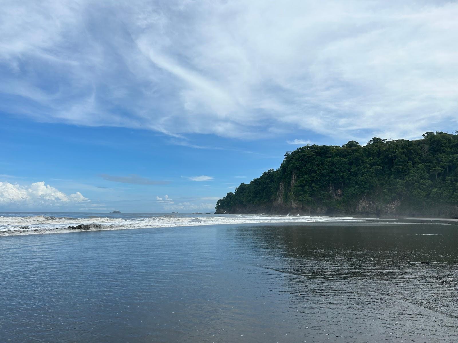 Sandee Playa Tortuga Norte Photo