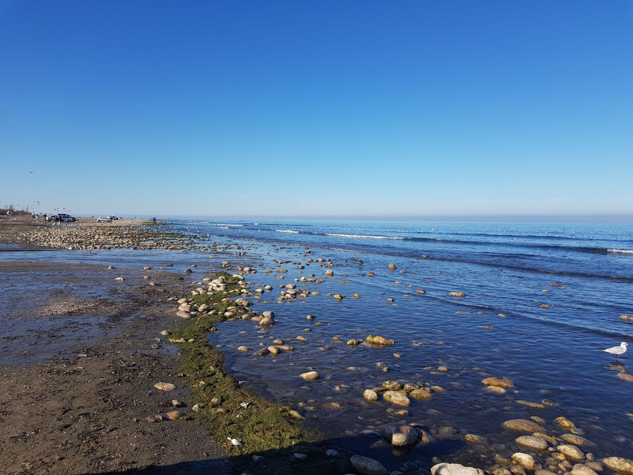 Sandee Radio Darya Beach