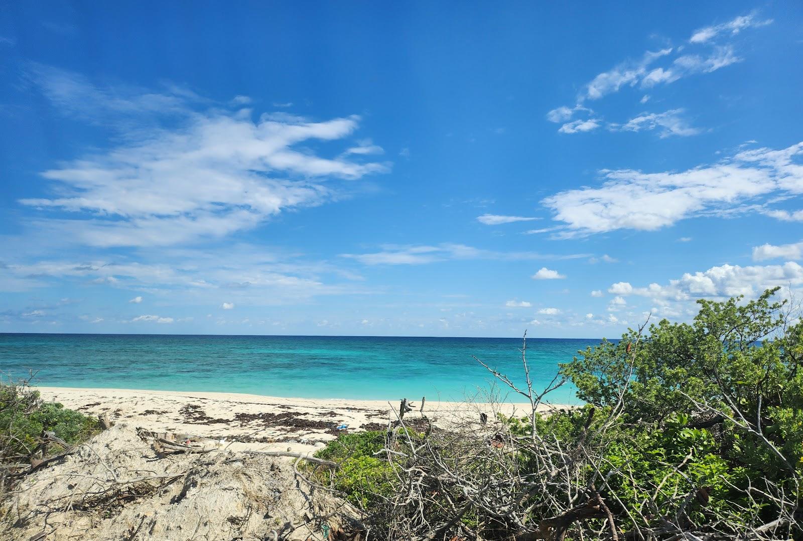 Sandee Ecologico Beach