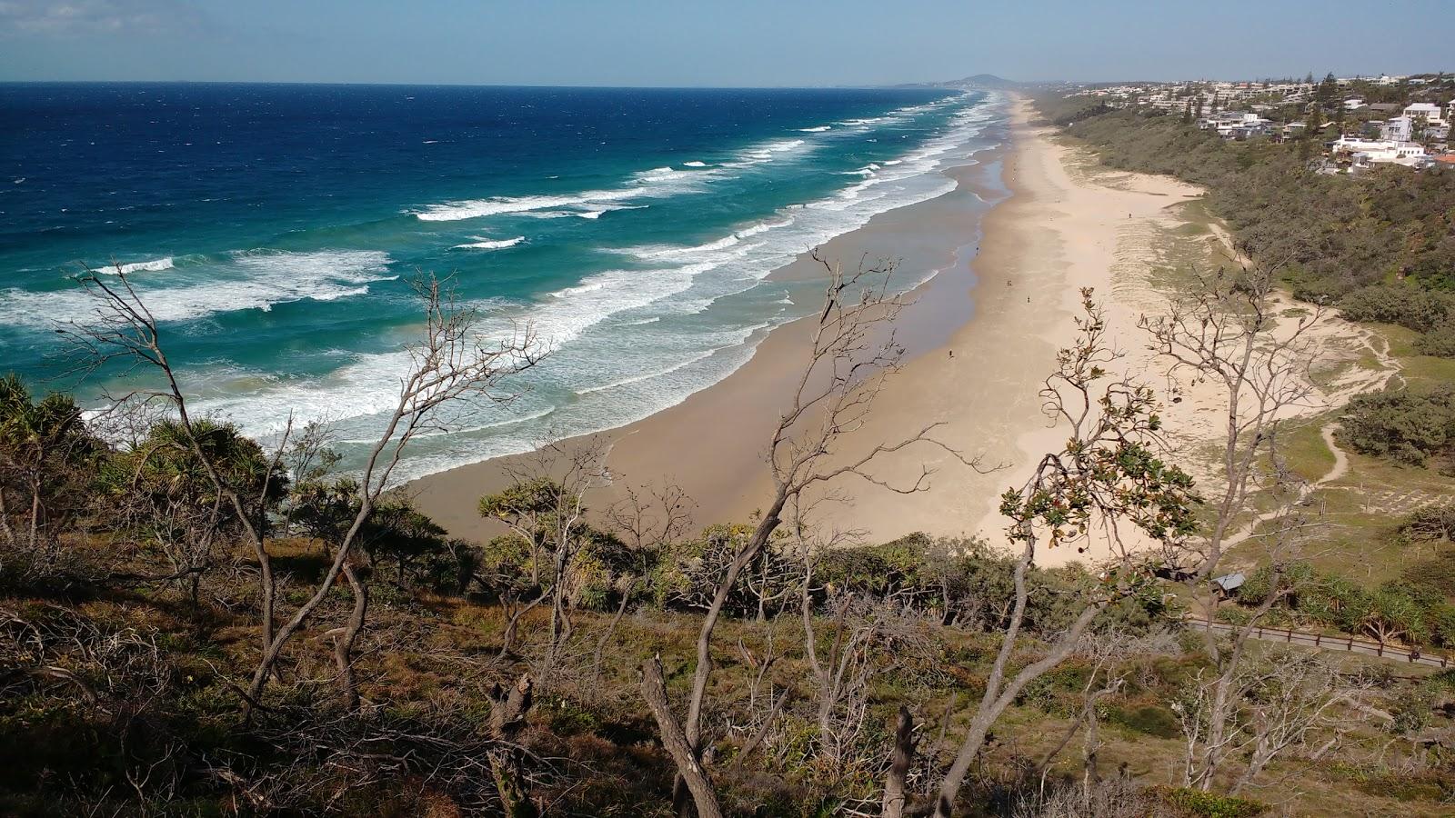 Sandee - Sunshine Beach