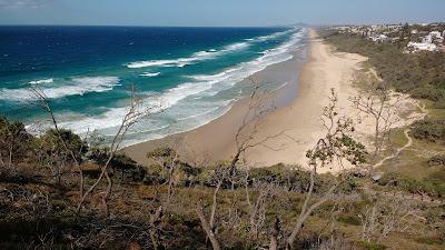 Sandee - Sunshine Beach