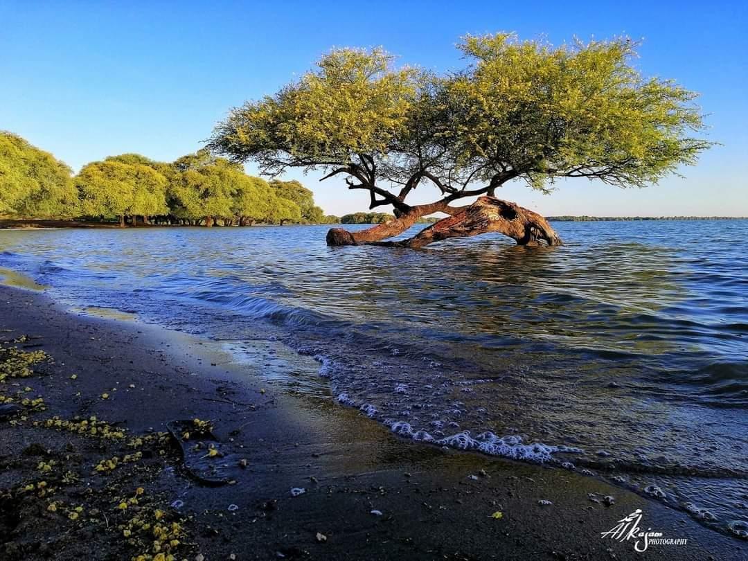 Sandee Al-Rumaila Tourist Resort