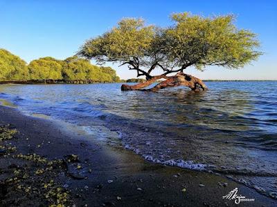 Sandee - Al-Rumaila Tourist Resort