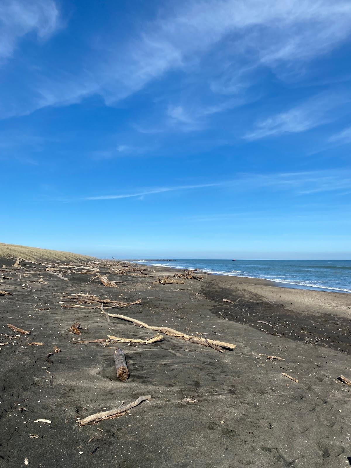 Sandee Turakina Beach
