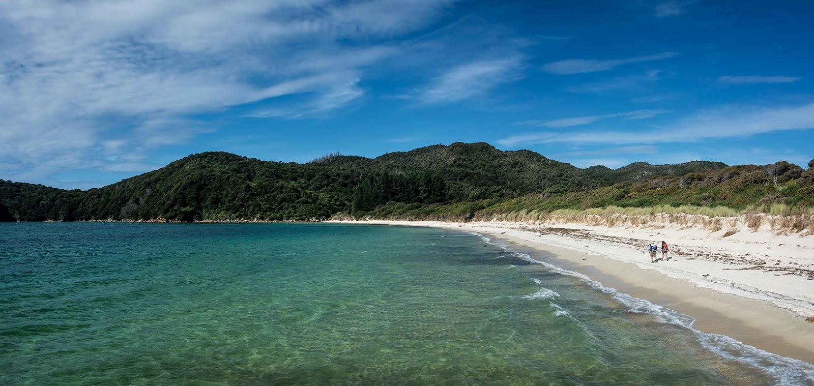 Sandee Tasman Bay