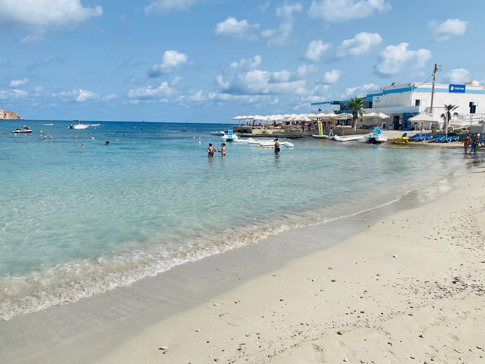 Sandee Little Armier Beach