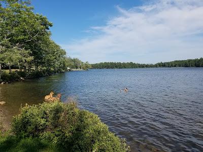 Sandee - Lake St. George State Park