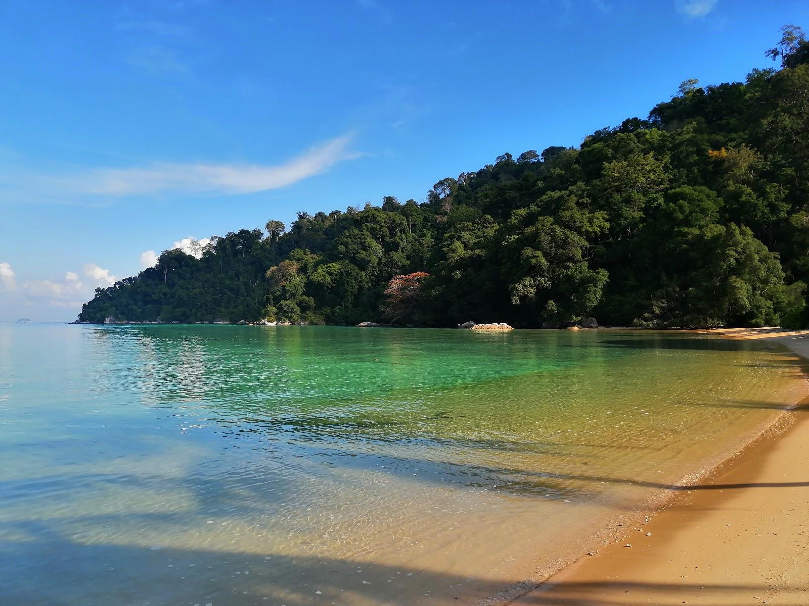 Sandee Monkey Bay