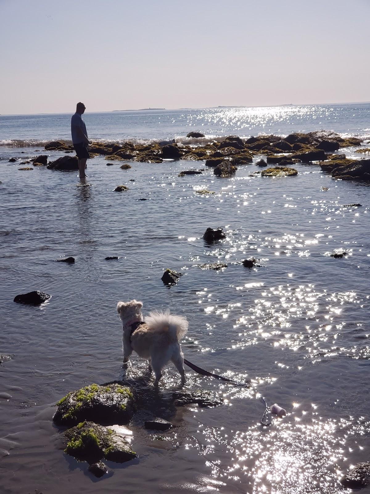 Sandee - Philbrick's Beach