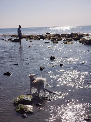 Sandee - Philbrick's Beach