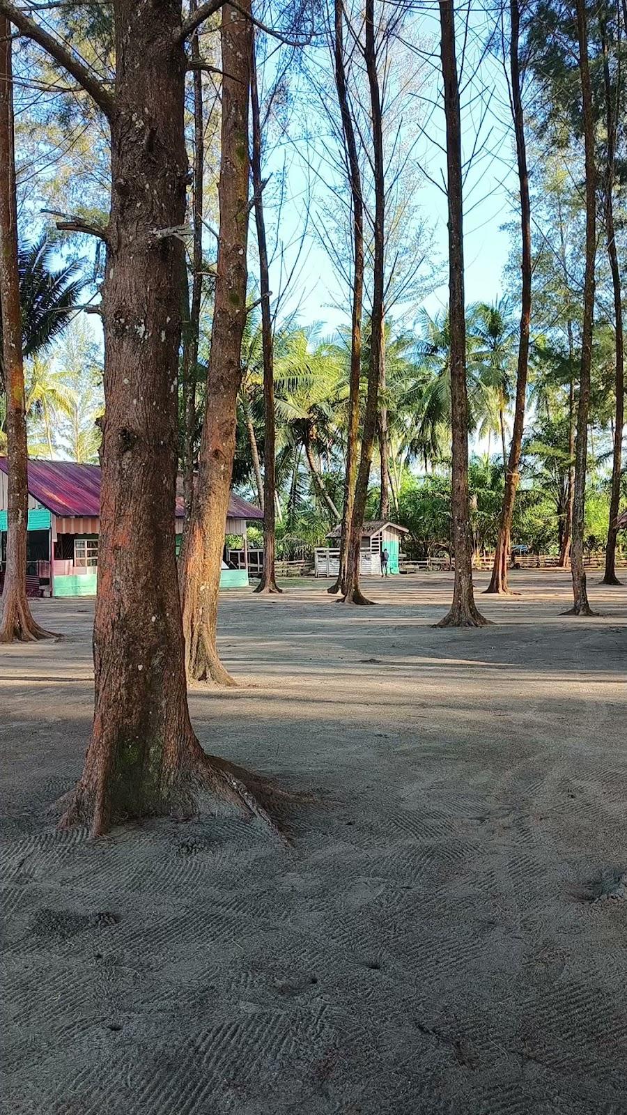 Sandee Pantai Suak Geudebang Photo