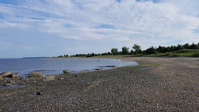 Sandee - Calf Pasture Point Beach