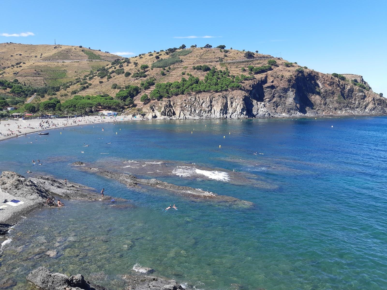 Sandee Plage De Peyrefite Photo