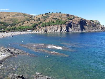 Sandee - Plage De Peyrefite