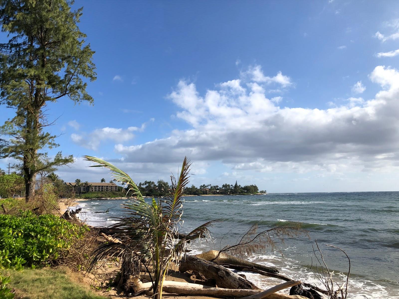 Sandee - Wailua Beach